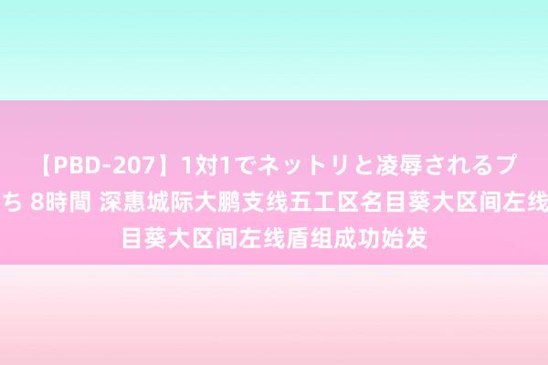 【PBD-207】1対1でネットリと凌辱されるプレミア女優たち 8時間 深惠城际大鹏支线五工区名目葵大区间左线盾组成功始发