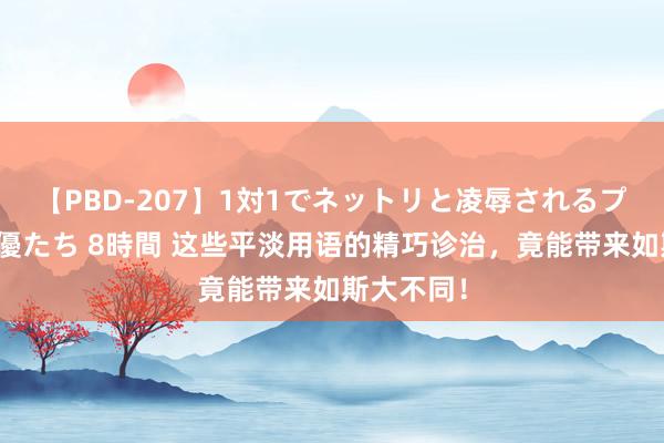 【PBD-207】1対1でネットリと凌辱されるプレミア女優たち 8時間 这些平淡用语的精巧诊治,竟能带来如斯大不同!
