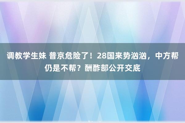 调教学生妹 普京危险了！28国来势汹汹，中方帮仍是不帮？酬酢部公开交底