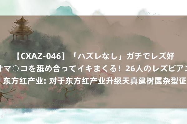 【CXAZ-046】「ハズレなし」ガチでレズ好きなお姉さんたちがオマ○コを舐め合ってイキまくる!26人のレズビアン 2 4時間 东方红产业: 对于东方红产业升级天真建树羼杂型证券投资基金基金司理变更的公告