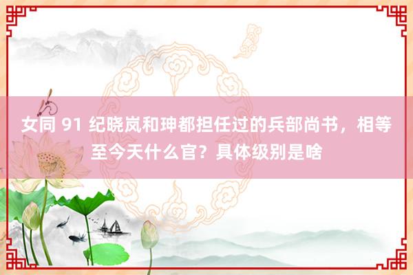 女同 91 纪晓岚和珅都担任过的兵部尚书，相等至今天什么官？具体级别是啥