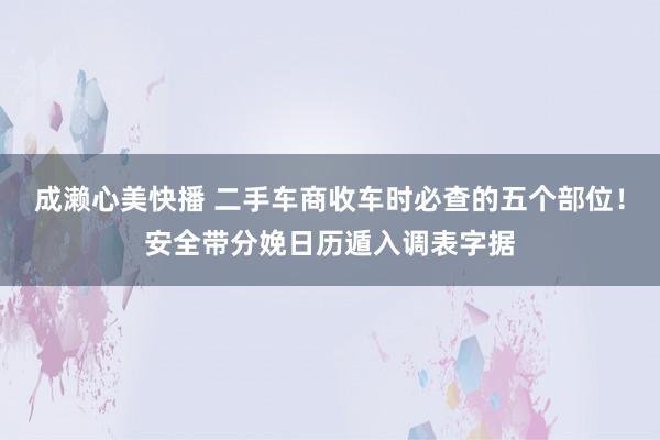 成濑心美快播 二手车商收车时必查的五个部位！安全带分娩日历遁入调表字据