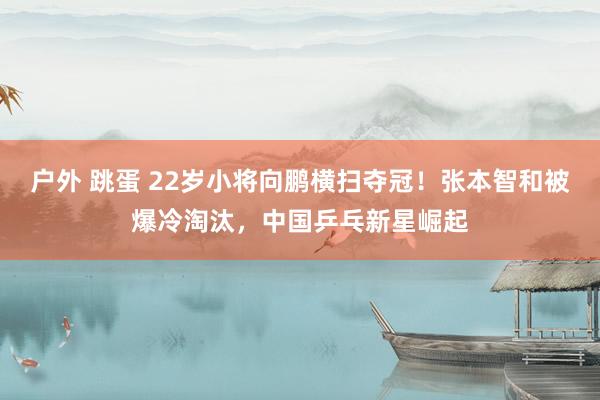 户外 跳蛋 22岁小将向鹏横扫夺冠！张本智和被爆冷淘汰，中国乒乓新星崛起