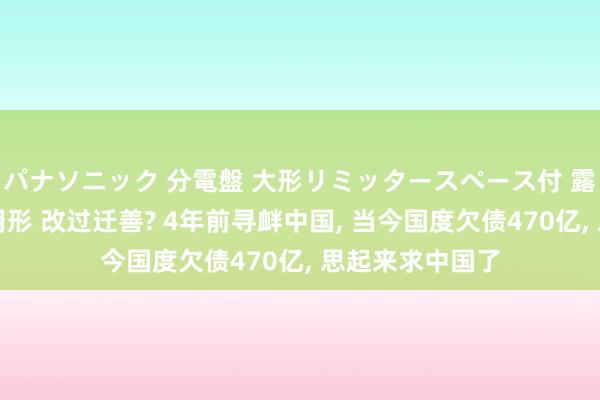 パナソニック 分電盤 大形リミッタースペース付 露出・半埋込両用形 改过迁善? 4年前寻衅中国， 当今国度欠债470亿， 思起来求中国了