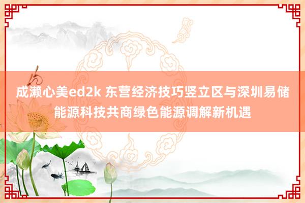 成濑心美ed2k 东营经济技巧竖立区与深圳易储能源科技共商绿色能源调解新机遇